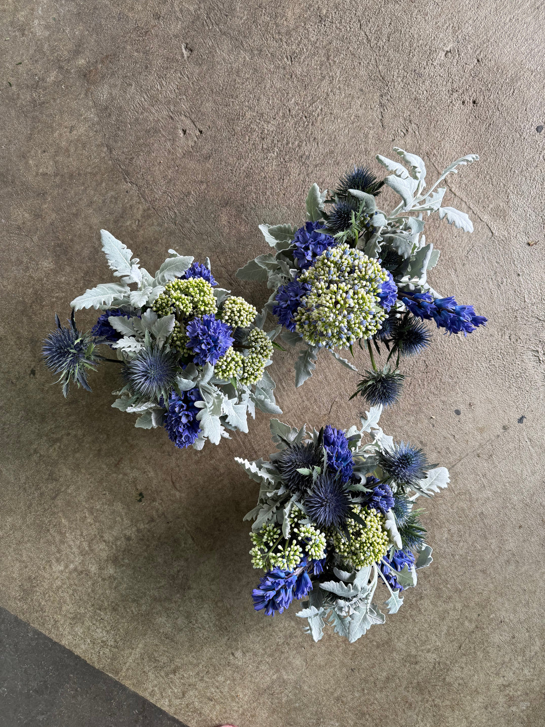 Same-Day Flower Delivery Canberra — Fresh, Fast, and Sustainable