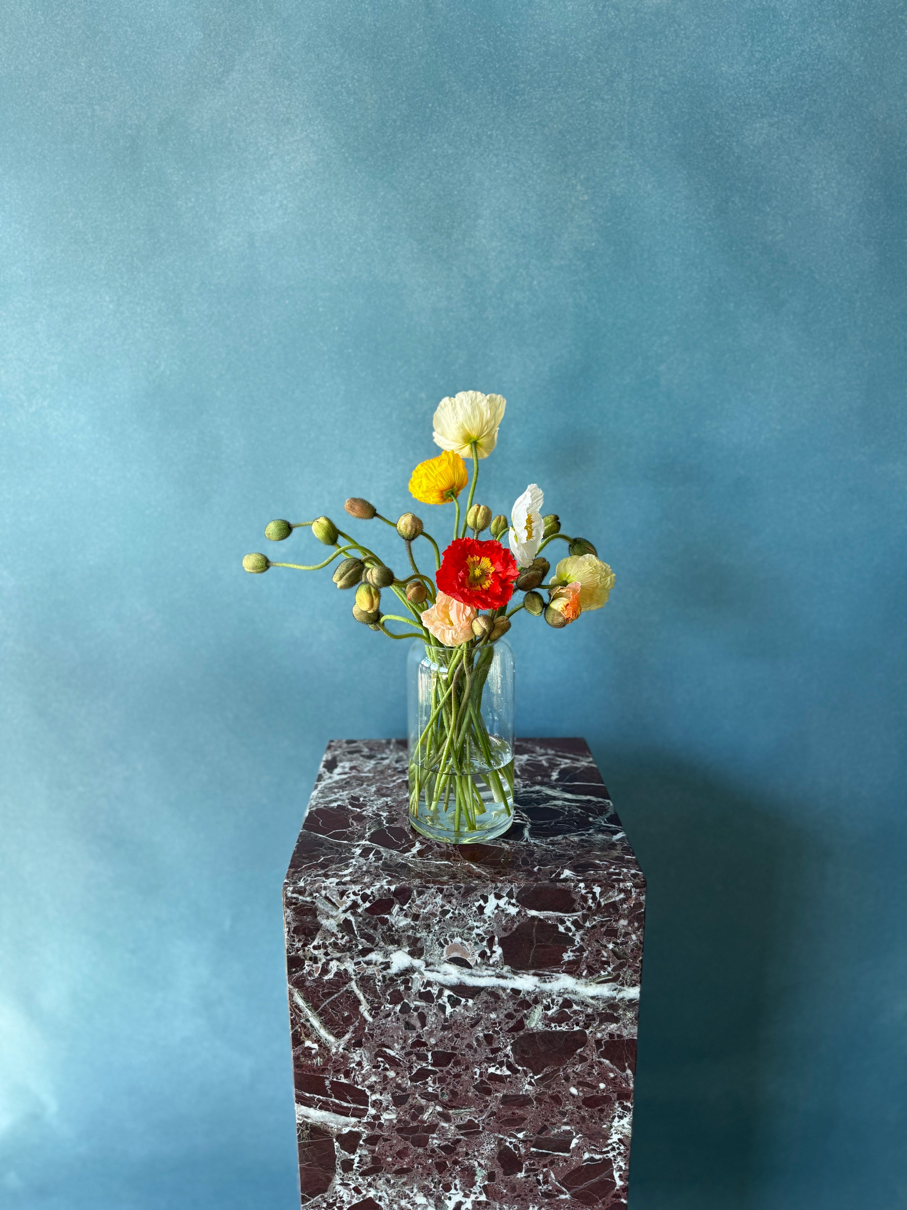 Poppies